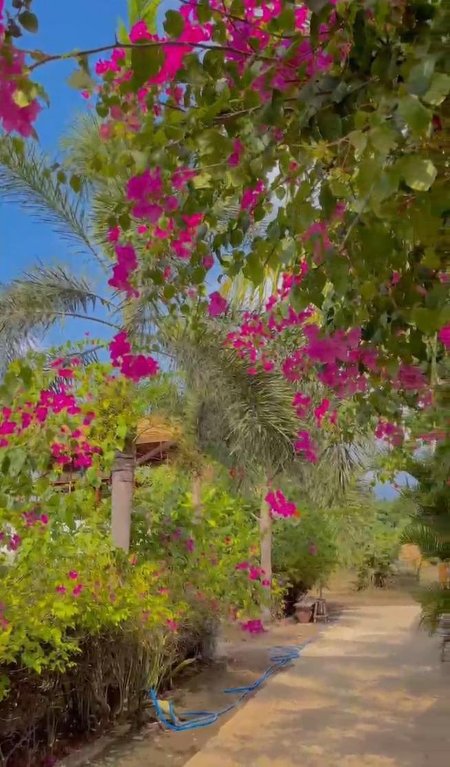 Sea Breeze Villas - Gili Air, Lombok Exteriér fotografie
